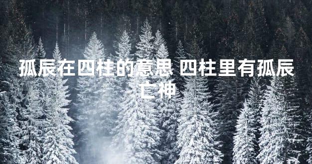 孤辰在四柱的意思 四柱里有孤辰亡神